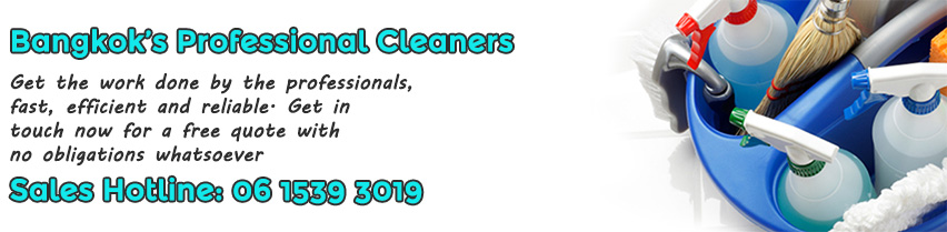 professional cleaners in Phra Khanong